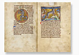 A Medieval Bestiary